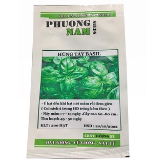 200h - hạt giống húng tây basil