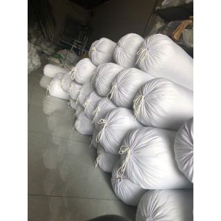 Ruột gối ôm