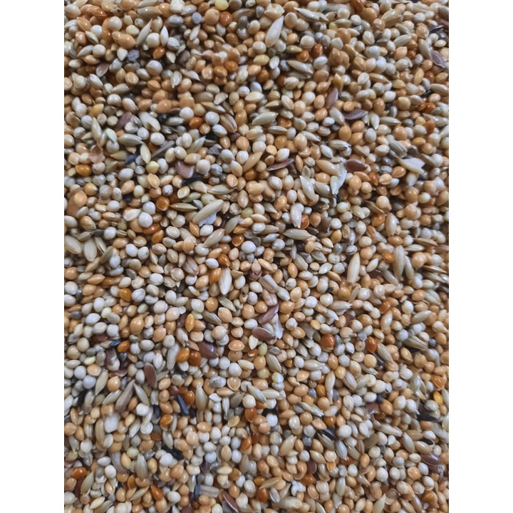 1kg hạt trộn cho yến phụng, parolet của Manitoba