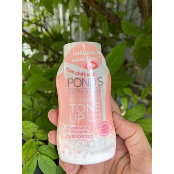 Phấn phủ nâng tông Pond's Tone Up Milk Powder 40g..