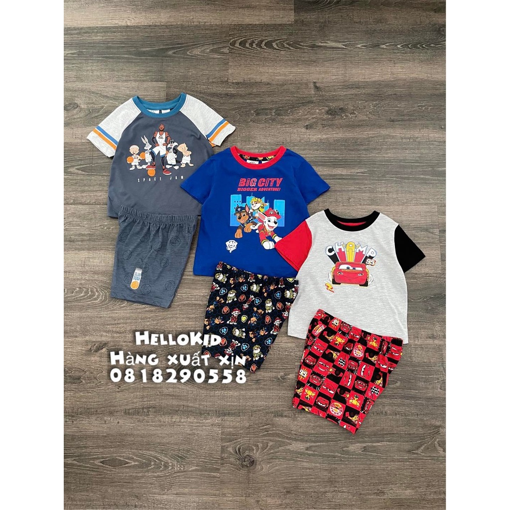 B206 - Bộ cotton dư xịn bé trai