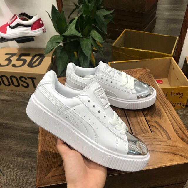 Puma mũi bạc