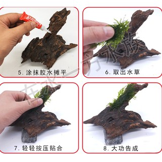 Keo Dán Rêu ,Ráy Bể Thủy Sinh Bể Cá Cảnh