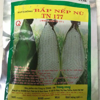 HẠT GIỐNG BẮP NÙ - GÓI 100 GRAM