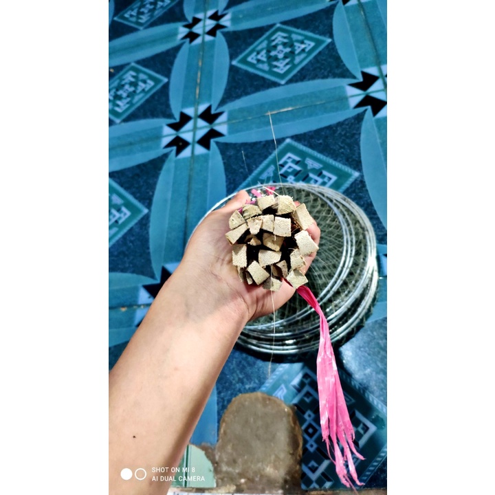 Lồng bẫy cua đồng, cá, lươn đa năng