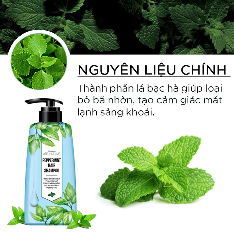 Dầu Xả Cho Tóc Dầu Around Me Peppermint Hair Conditioner Hương Bạc Hà 500ML