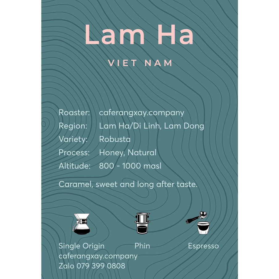 Cà phê Honey Robusta Lâm Hà thượng hạng - Rang Company | BigBuy360 - bigbuy360.vn