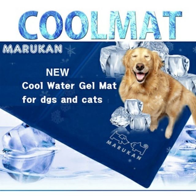 Đệm nước làm mát cho thú cưng