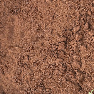 ĐẤT MÙN PHÙ SA TRỒNG RAU, CÂY KIỂNG (GÓI 2KG)