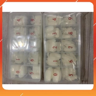 Móng úp chân (dài) màu trắng đục