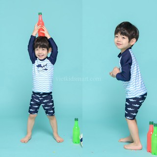 Bộ bơi cá mập kẻ rời