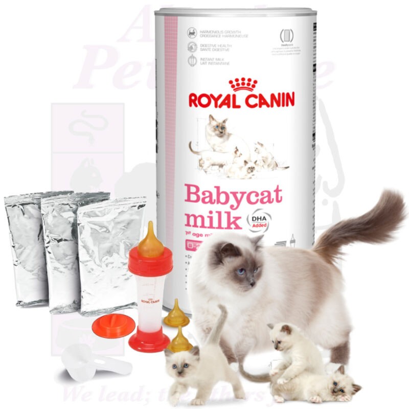 Sữa bột cho mèo con dưới 2 tháng tuổi - Royal Canin baby cat milk hộp 300g