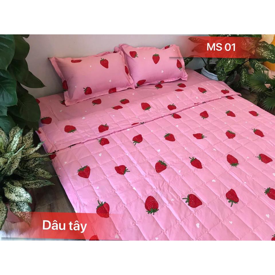 Bộ Ga Gối Cotton Poly 4 Món H&T Bedding, Miễn Phí May Ga Bo Chun, Bộ Ga Mới Hè 2022, Sét Chăn Ga 4 Món | BigBuy360 - bigbuy360.vn