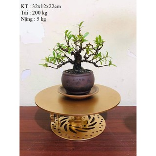 Bàn xoay size to cho bonsai , cây cảnh chịu tải 200 kg