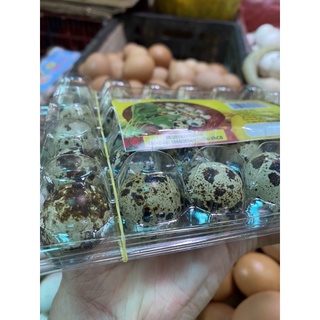 Trứng cút tươi vỉ 30 trứng