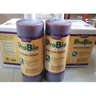 EM bố mẹ - EM đậm đặc - Probio - Chế phẩm sinh học