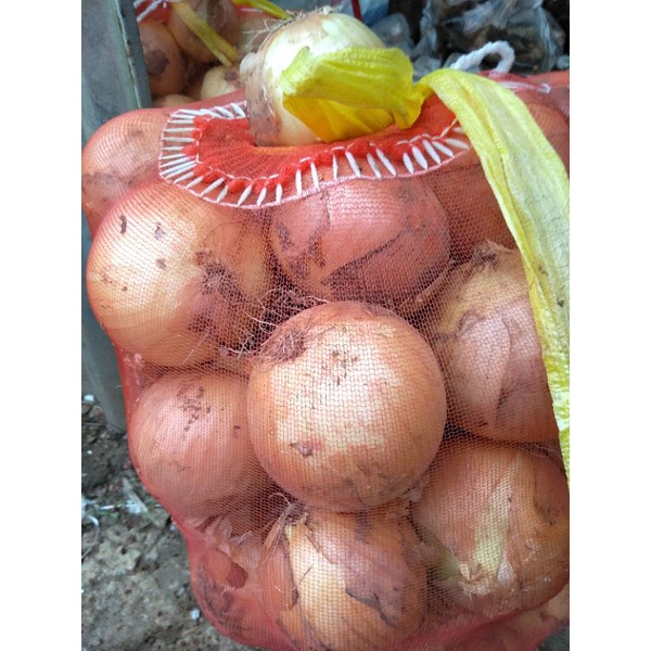 1KG HÀNH TÂY THƠM NGON, SẠCH ĐẸP