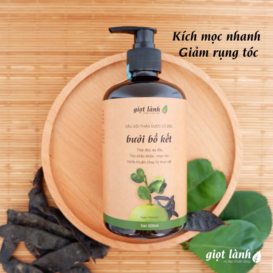 Dầu gội bồ kết, bưởi xanh, thảo dược đun cô - Giảm rụng nhanh, kích mọc tóc, giảm ngứa da đầu Giọt Lành 500ml