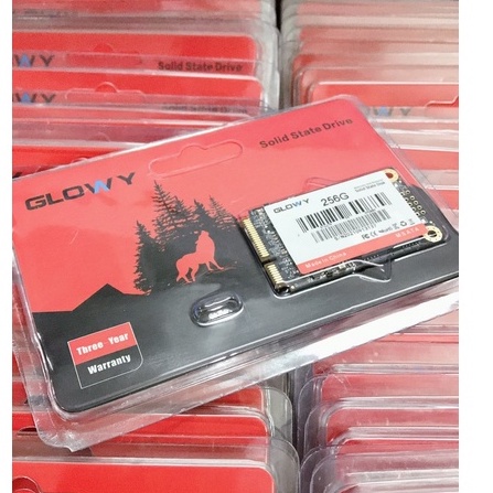 Ổ cứng SSD mSATA 256GB Gloway – CHÍNH HÃNG – Bảo hành 3 năm !!! | BigBuy360 - bigbuy360.vn