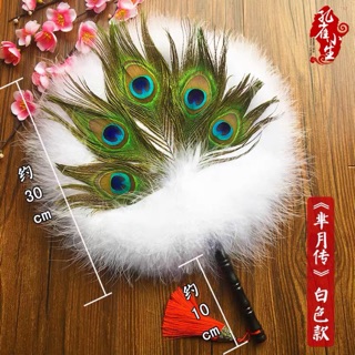 SIÊU PHẨM QUẠT LÔNG CÔNG PHỐI LÔNG ĐÀ ĐIỂU