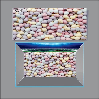 TRANH 3D DÁN ĐÁY HỒ CÁ_NHIỀU MẪU