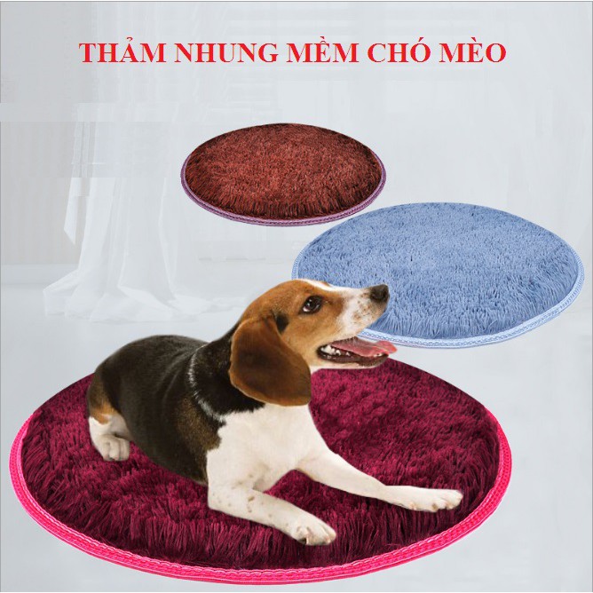 THẢM NẰM CHO CHÓ MÈO