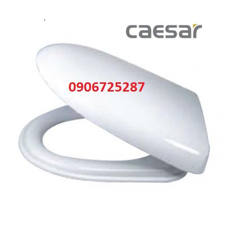 Nắp Bàn Cầu CAESAR M310 cho cầu CD1357