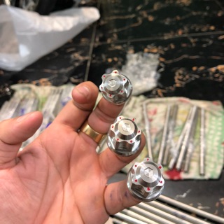 Cốt inox hai tán Salaya siêu đẹp