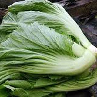 10gram HẠT GIỐNG CẢI BẸ DƯA