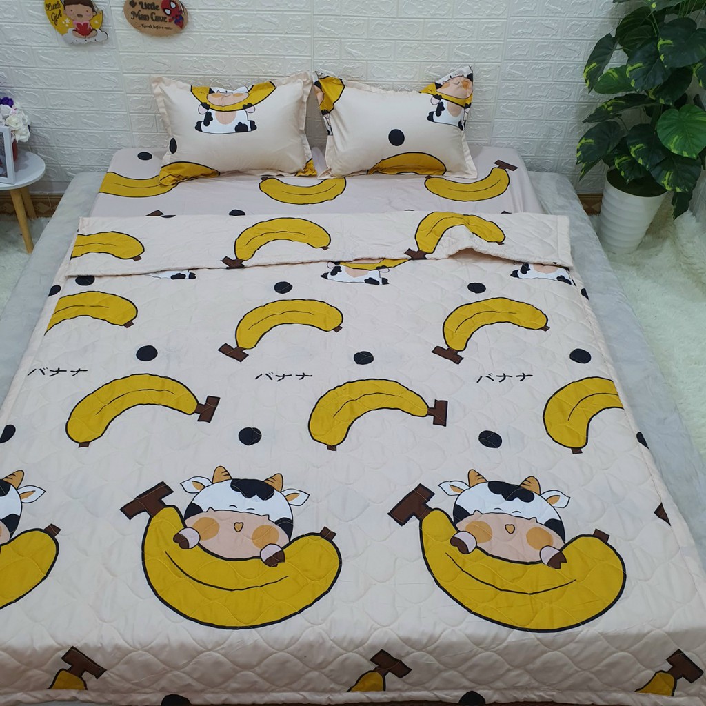 Bộ chăn ga gối poly 5 món chăn trần hè đủ mọi kích thước