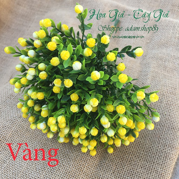 Hoa giả - Hoa Chiêm Điểm