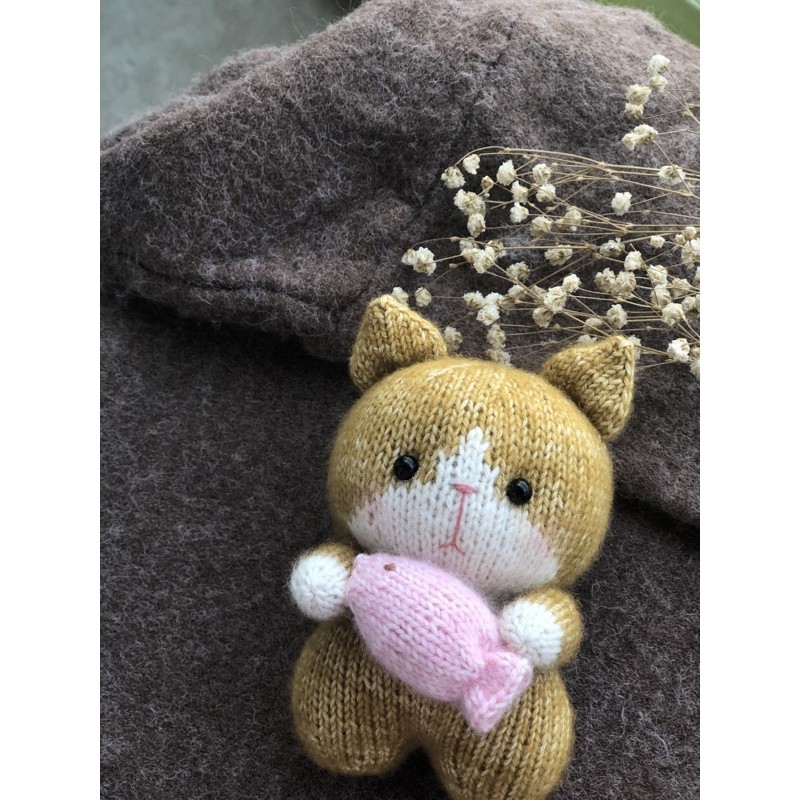 🐱 Mèo chân ngắn ôm cá 🐟