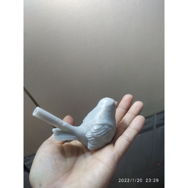 Sáo nước hình chim