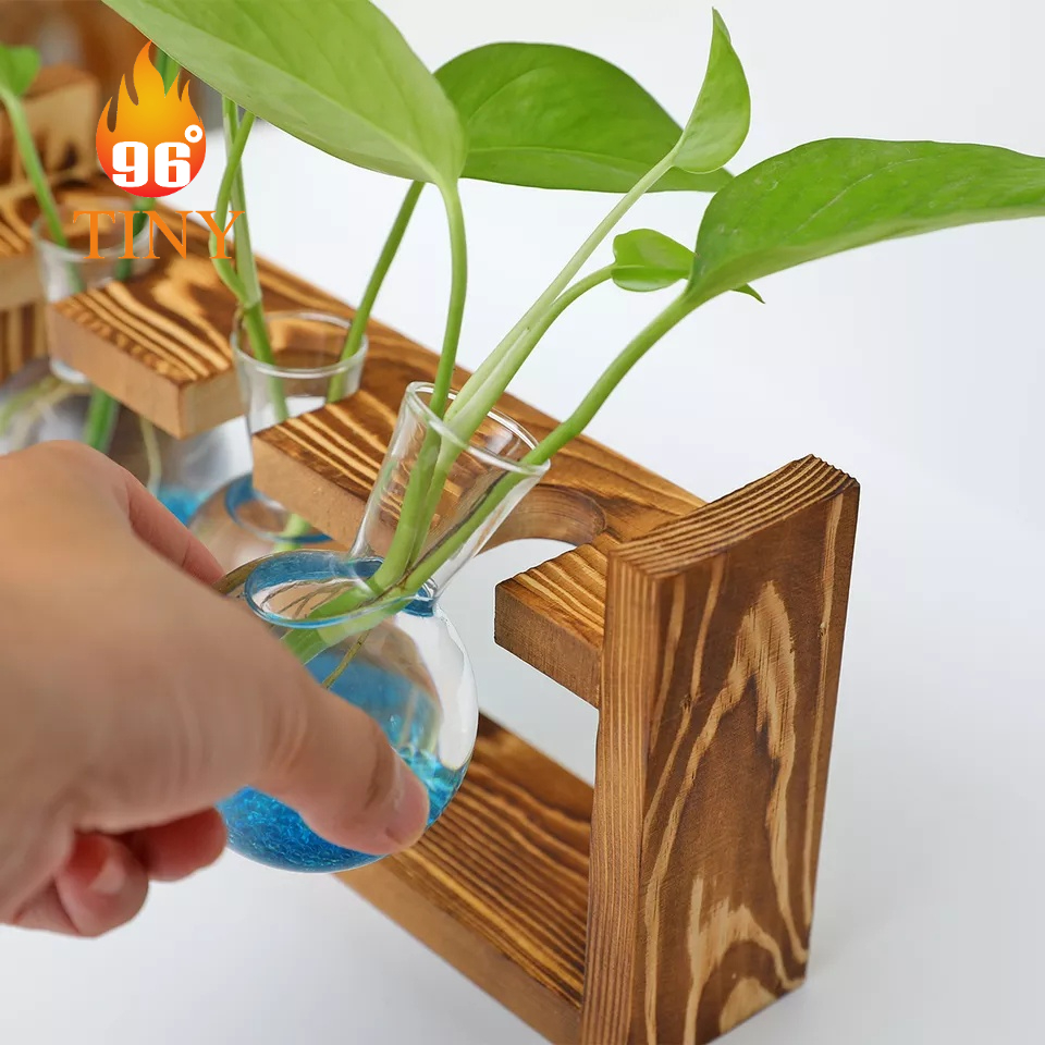 Bình hoa thủy tinh trang trí phong cách retro có khung gỗ trồng hoa và thủy sinh trang trí bàn làm việc, nhà cửa