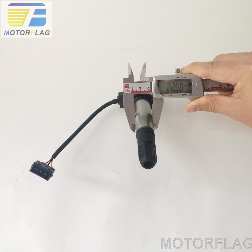 Cuộn Dây Đánh Lửa Cho Xe Máy BENELLI TNT300 BN302 THV302 TNT600 TNT600i BN600GT TNT249S / Keeway RKX300 RK6 600 / Stel 300 600