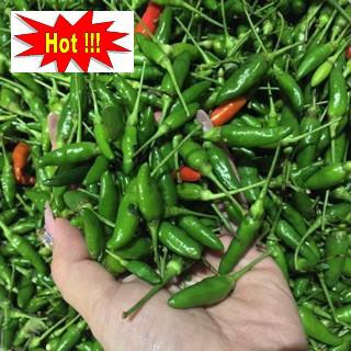 Hạt giống Ớt Xiêm (0.4g)