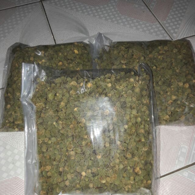 Nụ hoa tam thất 0.5~1kg