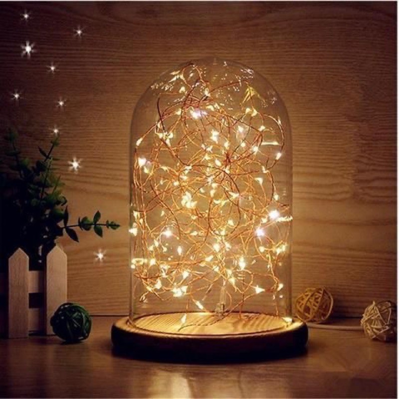 Led đom đóm Fairy Light - 5 mét - Vàng Nắng - Dùng pin đĩa (Tặng pin)