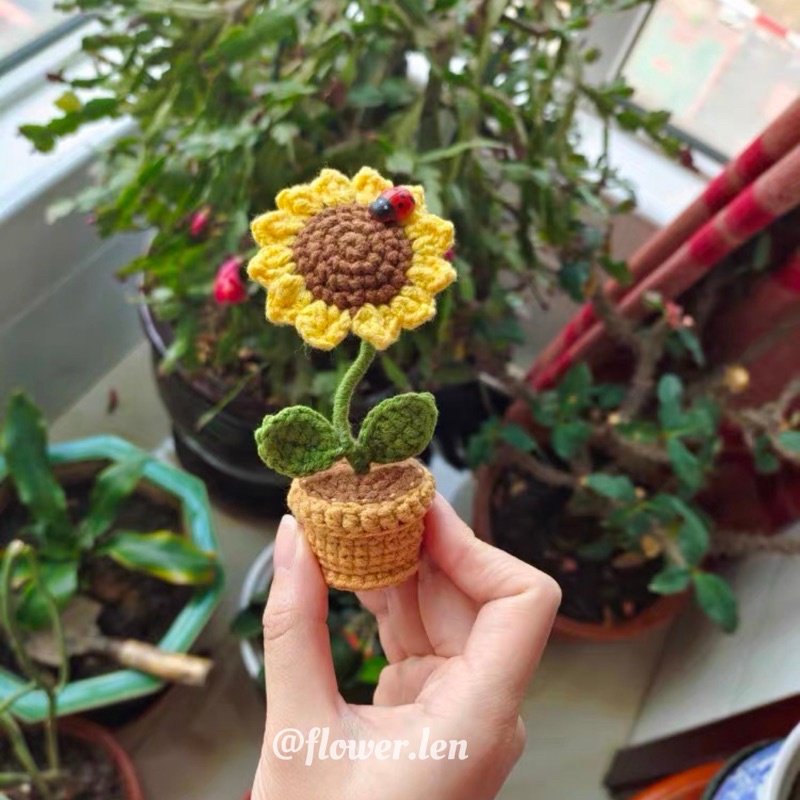 CHẬU HOA TRANG TRÍ BẰNG LEN BY FLOWER.LEN