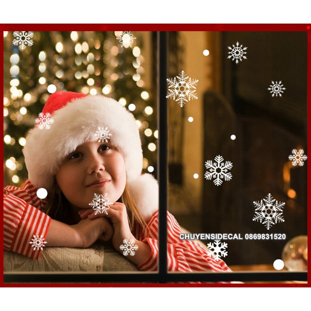 Decal dán tường Noel - Hoa Tuyết Rời Trắng 03