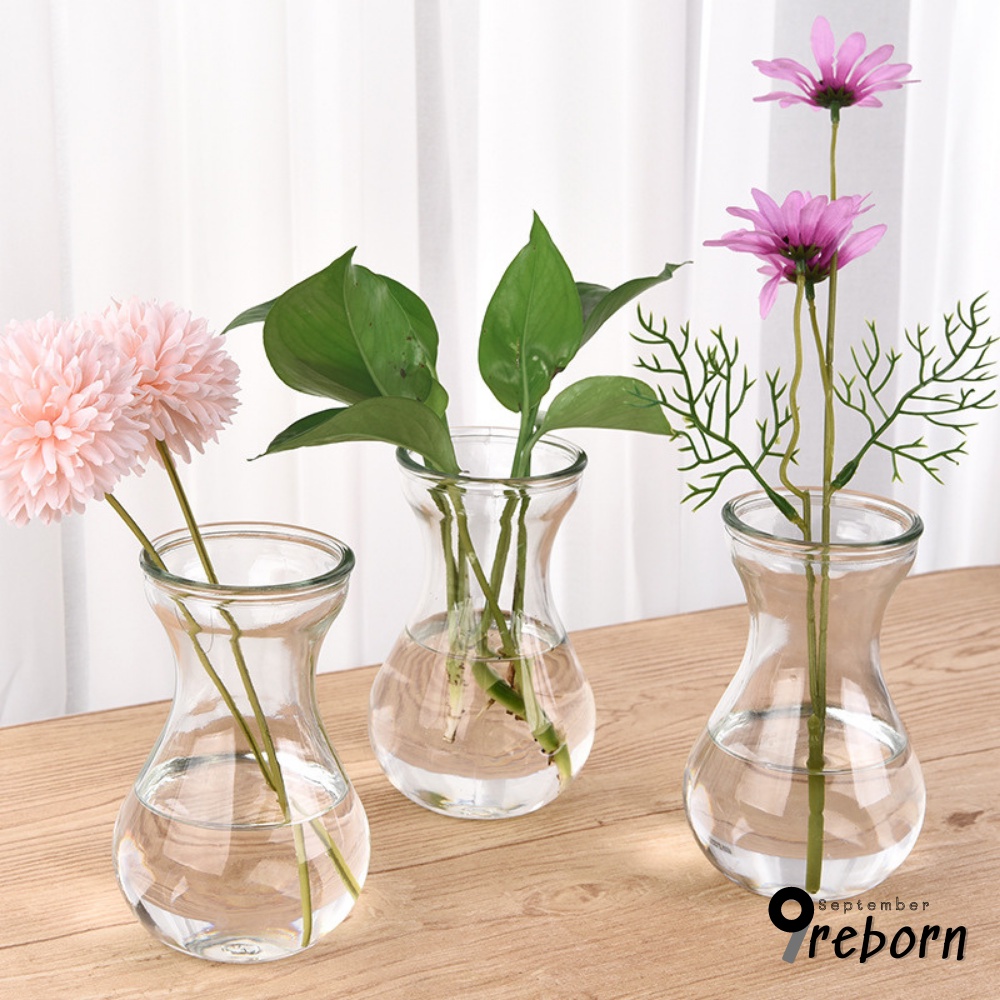 Lọ hoa decor thiết kế sáng tạo, bình hoa thủy tinh trồng cây thủy sinh 9Reborn