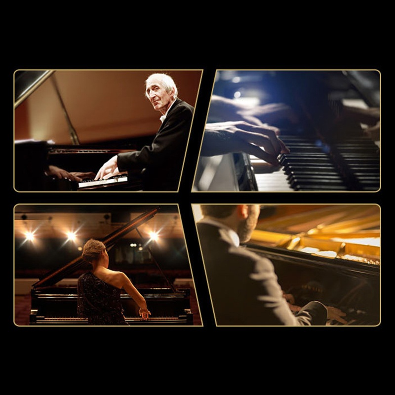 Vỏ Bọc Chống Sốc Thủy Lực Dành Cho Bàn Phím Đàn Piano