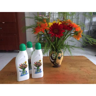 Nước Cấm Hoa ASA