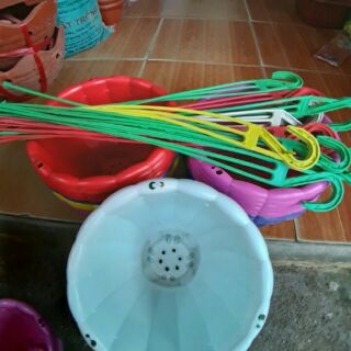 Chậu rộng 22cm cao 15cm siêu đẹp