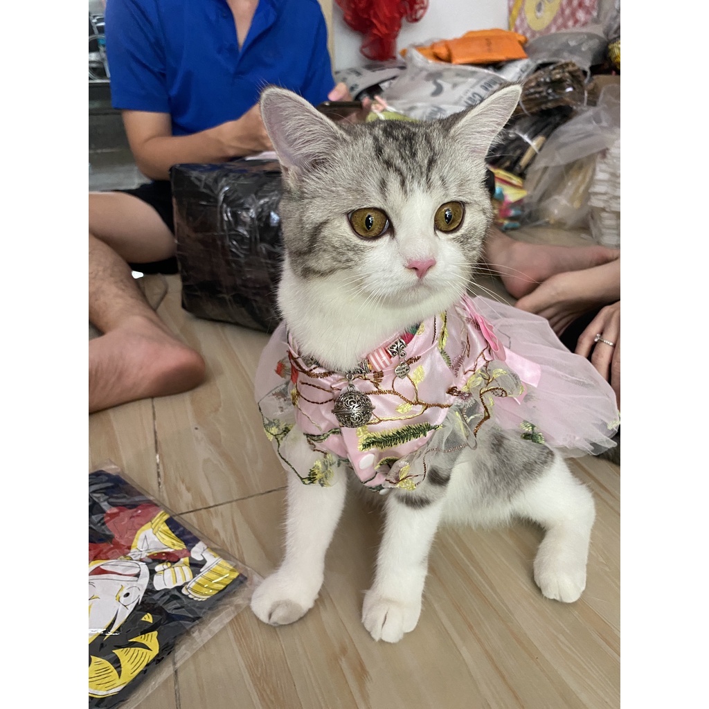 Đầm công chúa phối ren dành mặc cho thú cưng chó mèo yudog