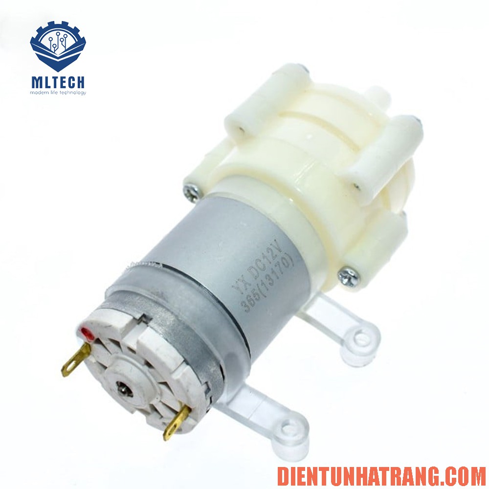 Động cơ bơm nước P365 12V