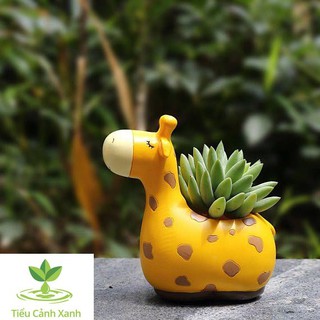 Chậu cây hươu cao cổ ngủ say - Chậu trồng cây