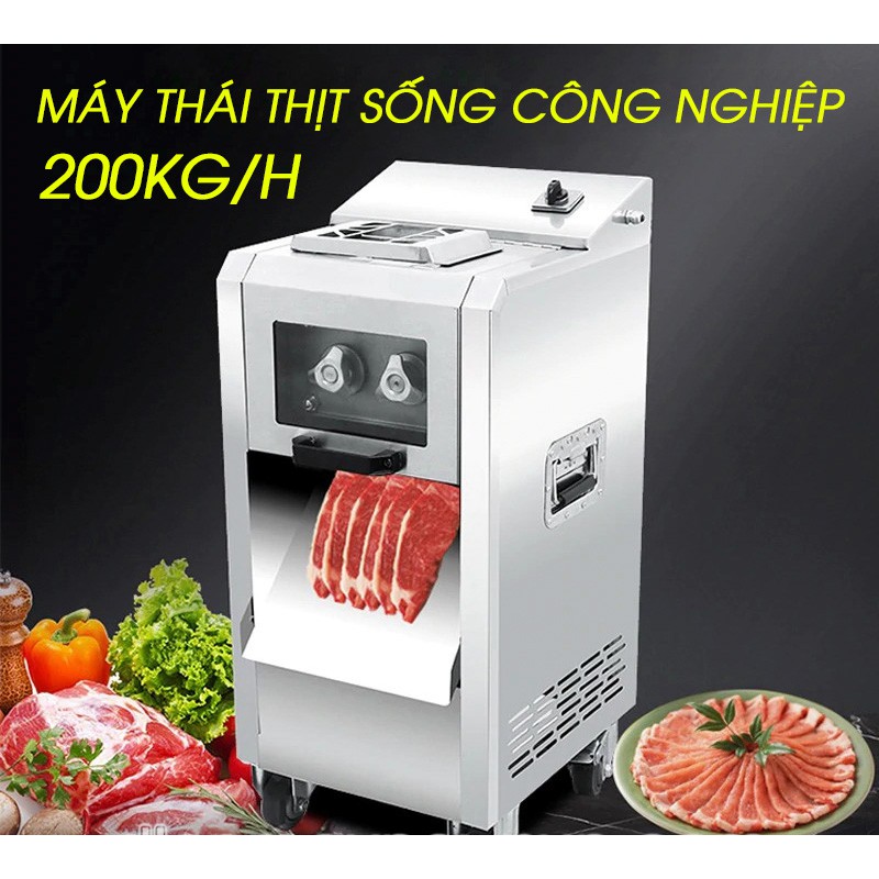 Máy cắt, thái thịt tươi sống công nghiệp NEWSUN DQ – 8 thay được lưỡi dao, năng suất 200Kg/H - Hàng chính hãng