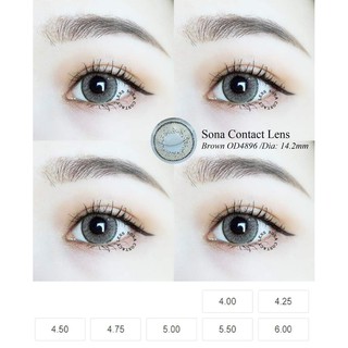 Lens Brown Hàn Có Độ Cận + khay dụng cụ