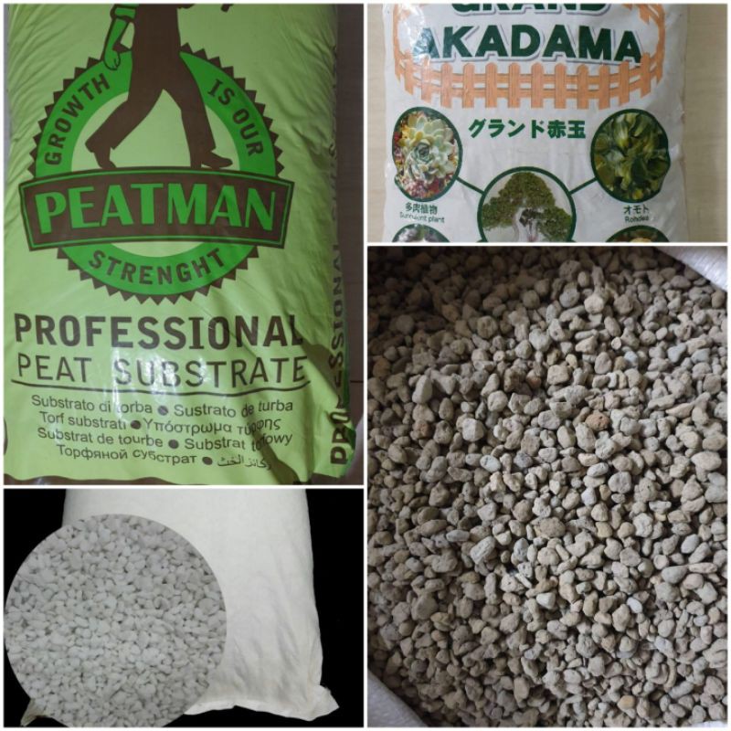 combo đất perlite akadama pumice peatmoss